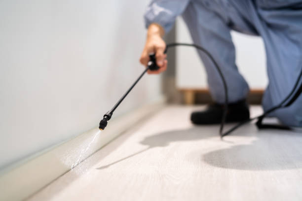 Professional exterminator conducting IPM assessment in Devola